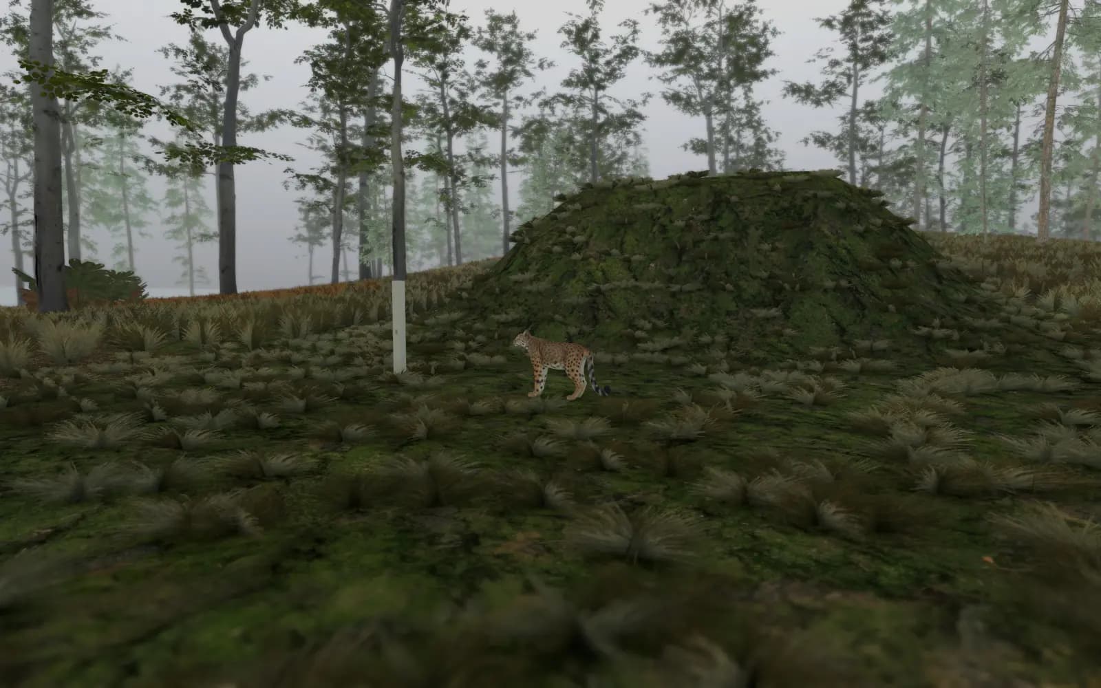 A foam bobcat on a misty grass lane at Sawgrass Bluff